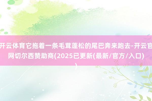 开云体育它拖着一条毛茸蓬松的尾巴奔来跑去-开云官网切尔西赞助商(2025已更新(最新/官方/入口)