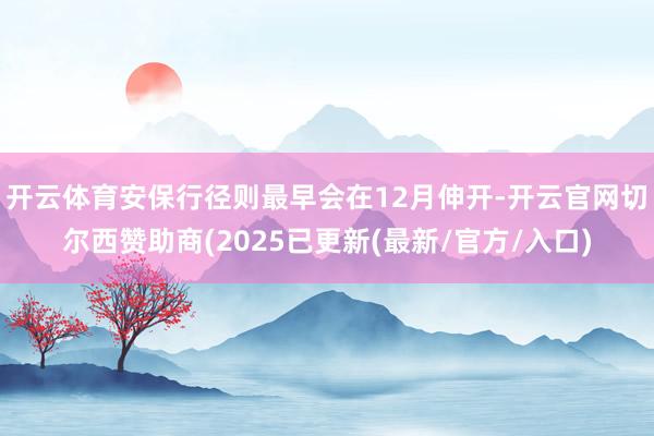 开云体育安保行径则最早会在12月伸开-开云官网切尔西赞助商(2025已更新(最新/官方/入口)