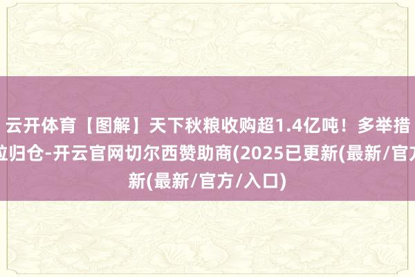云开体育【图解】天下秋粮收购超1.4亿吨！多举措保险颗粒归仓-开云官网切尔西赞助商(2025已更新(最新/官方/入口)