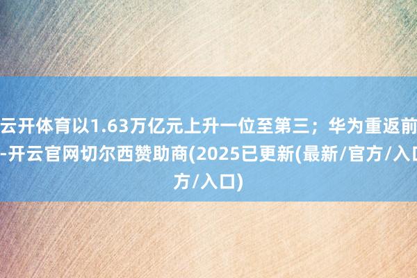 云开体育以1.63万亿元上升一位至第三；华为重返前十-开云官网切尔西赞助商(2025已更新(最新/官方/入口)