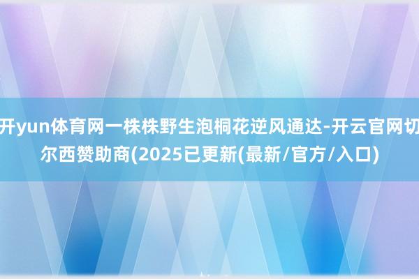 开yun体育网一株株野生泡桐花逆风通达-开云官网切尔西赞助商(2025已更新(最新/官方/入口)