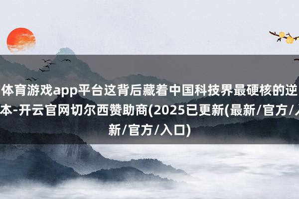 体育游戏app平台这背后藏着中国科技界最硬核的逆袭脚本-开云官网切尔西赞助商(2025已更新(最新/官方/入口)