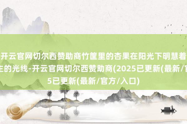 开云官网切尔西赞助商竹筐里的杏果在阳光下明慧着诱东说念主的光线-开云官网切尔西赞助商(2025已更新(最新/官方/入口)